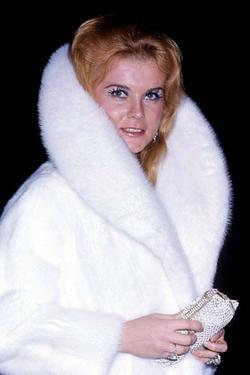 Latest photos of Ann-Margret, biography.