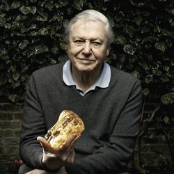 Latest photos of David Attenborough, biography.