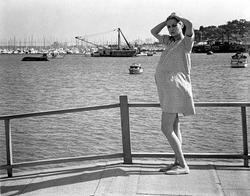 Faye Dunaway image.