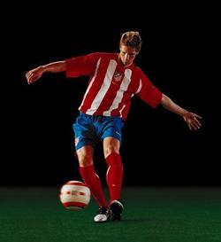 Fernando Torres image.