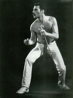 Latest photos of Freddie Mercury, biography.