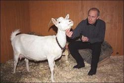 Vladimir Putin image.