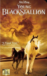 The Young Black Stallion is the best movie in Eric Grucza filmography.