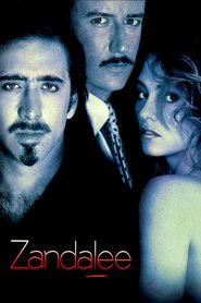 Zandalee - movie with Judge Reinhold.