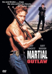 Martial Outlaw - movie with Ari Barak.