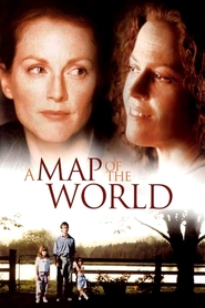 A Map of the World - movie with Julianne Moore.