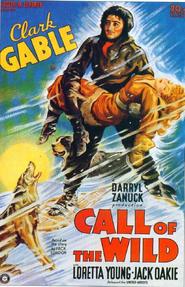 The Call of the Wild - movie with Clark Gable.