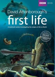 First Life - movie with David Attenborough.