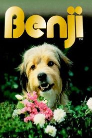 Benji - movie with Chris Connelly.