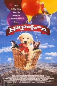 Napoleon is the best movie in Annabel Sims filmography.