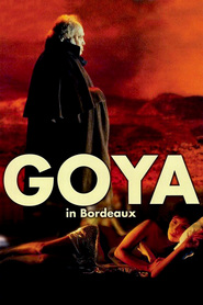 Film Goya en Burdeos.