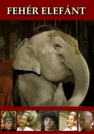 L'elefante bianco - movie with Jennifer Nitsch.