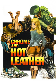 Chrome and Hot Leather - movie with William Smith.