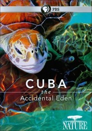 Cuba. The Accidental Eden