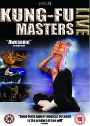 Film Kung Fu Master.