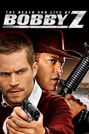 The Death and Life of Bobby Z is the best movie in Paul Walker filmography.