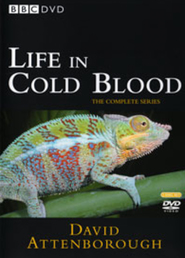 Life in Cold Blood - movie with David Attenborough.