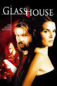 Glass House: The Good Mother - movie with Tasha Smith.