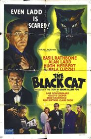 The Black Cat - movie with Bela Lugosi.