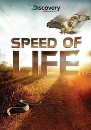 Speed of Life is the best movie in Mayk Klarkson filmography.