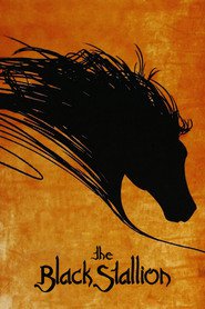 The Black Stallion - movie with Michael Higgins.