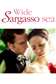 Wide Sargasso Sea - movie with Nina Sosanya.