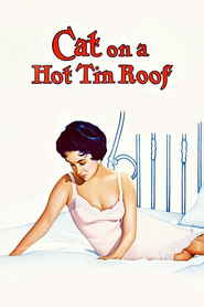 Cat on a Hot Tin Roof - movie with Vaughn Taylor.