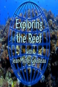 Animation movie Exploring the Reef.
