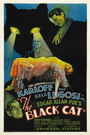 The Black Cat - movie with Boris Karloff.