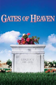 Film Gates of Heaven.