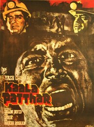 Kaala Patthar is the best movie in Shashi Kapoor filmography.