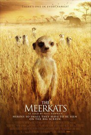 Film The Meerkats.