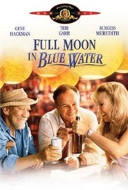 Full Moon in Blue Water is the best movie in Becky Ann Baker filmography.