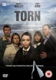 Torn is the best movie in Richard Betts filmography.