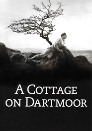 A Cottage on Dartmoor is the best movie in Uno Henning filmography.