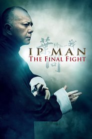 Ip Man: The Final Fight - movie with Jordan Chan.
