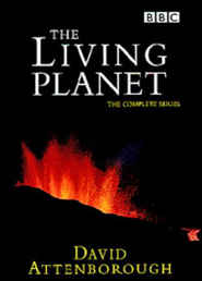 The Living Planet - movie with David Attenborough.