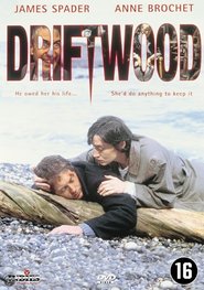 Driftwood is the best movie in Barry McGovern filmography.