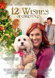 12 Wishes of Christmas is the best movie in Lynn Milano filmography.