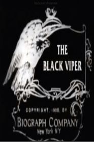 The Black Viper - movie with D.W. Griffith.