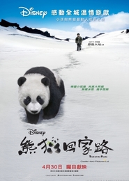 Film Xiong mao hui jia lu.