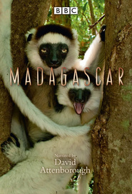 Madagascar - movie with David Attenborough.