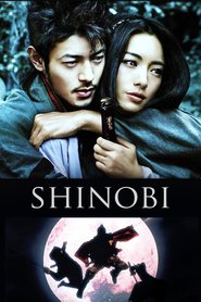 Shinobi is the best movie in Tak Sakaguchi filmography.