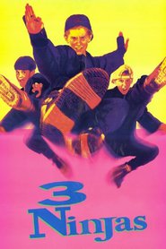 3 Ninjas - movie with Joel Swetow.