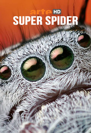 Film Super Spider.