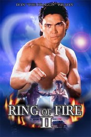 Ring of Fire II: Blood and Steel - movie with Sy Richardson.