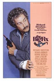 The Big Fix is the best movie in Susan Anspach filmography.