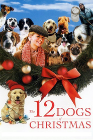 The 12 Dogs of Christmas is the best movie in Bonita Friedericy filmography.