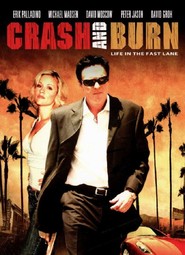 Crash and Burn - movie with Michael Madsen.