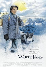 Animation movie White Fang.